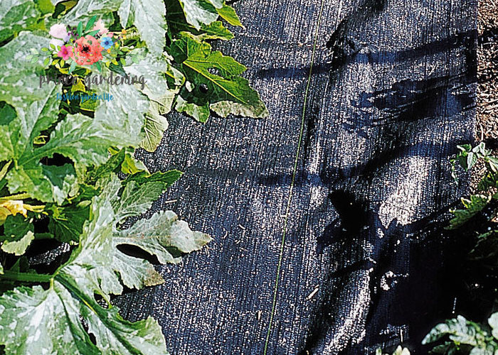 Black Garden Plant Accessories - Tear Proof Weed Block Fabric / Weed Control Fabric