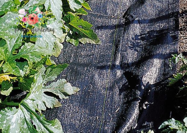 Buy Black Garden Plant Accessories - Tear Proof Weed Block Fabric / Weed Control Fabric at wholesale prices