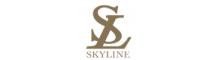 China Skyline Instruments Co.,LTD logo