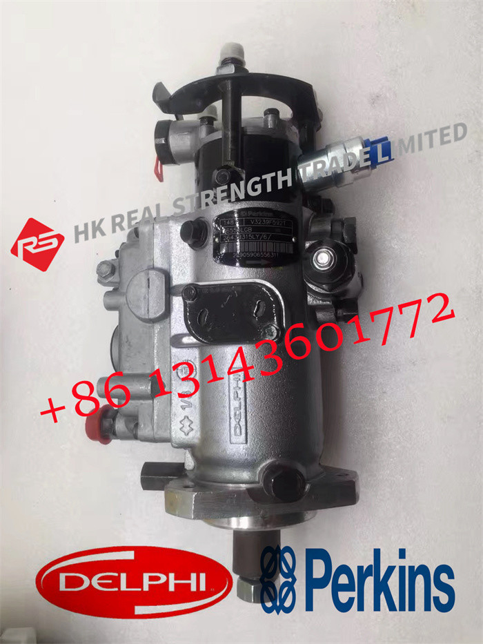 Quality Fuel Injection Common Rail Pump V3239F592T 2643b317 2643B317 V3230F572T For Delphi Perkins Excavator 1103A Engine for sale
