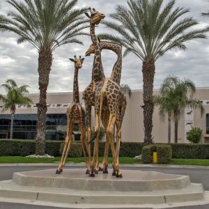 Quality Gnee Garden Life Size Large Outdoor Bronze Sculpture Giraffe Shaped Customized for sale
