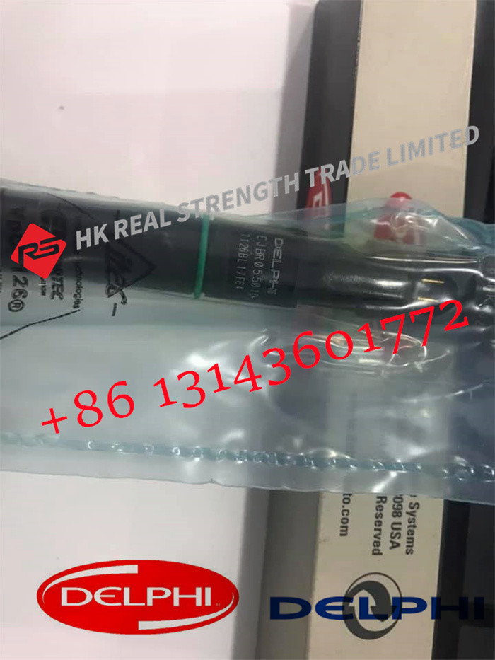 Quality Common Rail Injector Engine Parts Fuel Injector EJBR03401D EJBR04701D For A6640170221 for sale