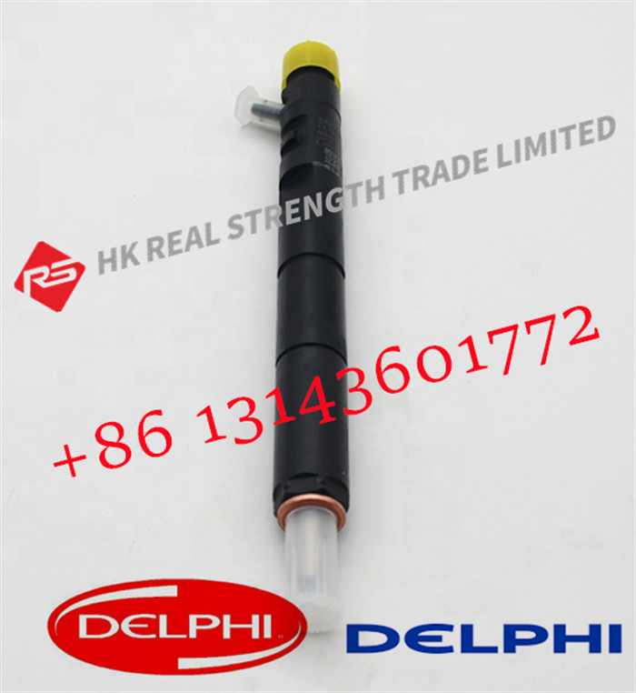 Quality Delphi Common Rail Fuel Injector EJBR04101D JBR02101Z 8200049876 Excavator For Delphi  Engine for sale