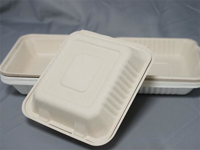 Quality White Hinged Bagasse Takeaway Boxes 431x199x38mm for sale