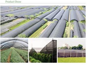 Quality UV Treated Greenhouse Shade Net / Green Garden Net For Roofing Agriculture Cover for sale