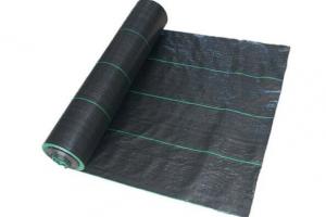 Quality Virgin PP Polypropylene Ground Cover / Black Weed Control Fabric For Agriculture for sale