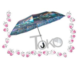 Quality Compact Sun Auto Open Umbrella , Self Opening And Closing Umbrellas Solid Frame for sale