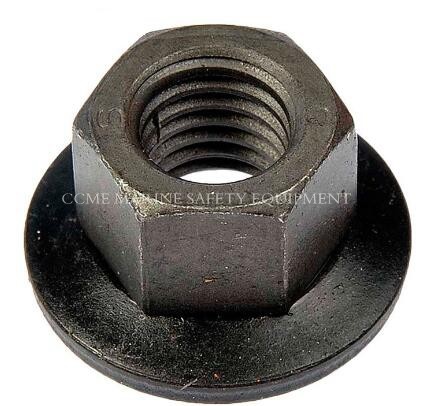 Quality Carbon Steel Bsp NPT Back Hex Pipe Nuts for sale