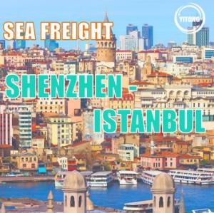 Quality 25 days International Sea Cargo Shipping Logistics  From Shenzhen To Istabul for sale