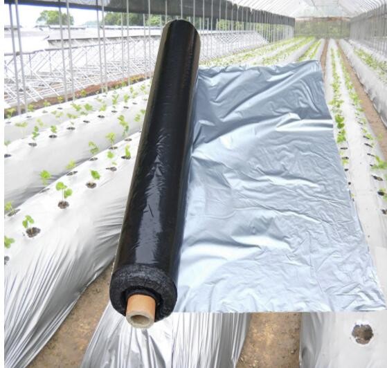 Quality Width 20-2300mm Apple Tree Flective Agriculture Metalized CPP Film for sale