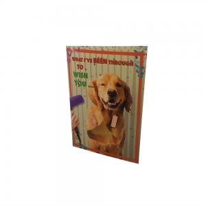 Quality Birthday Recordable Greeting Cards With Visual LED Lights 4C Printing Autoplay for sale