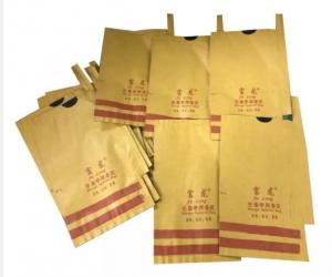 Quality Waterproof Mango Covering Bags Fruit Protection Bag For Sri Lanka Marketing for sale