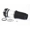 Buy cheap 4F0616039AA Air Suspension Spring Front Left For Audi A6 S6 4F0616039 4-Door V6 from wholesalers