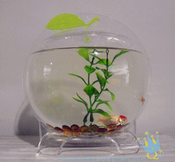 Quality Plastic modern acrylic fish tank for sale