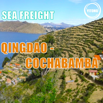 Quality 33 days Global Sea Freight Service From Qingdao to Cochabamba for sale