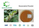 High Purity Nature Resveratrol Herbal Extract Giant Knolweed Extract CAS 501 36 0