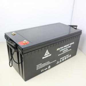 Quality 100ah Deep Cycle Solar 24 Volt Lithium Marine Batteries With Smart BMS for sale