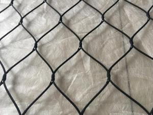 Quality High Durability Black Oxide Farm Wire Mesh Wire Rope Mesh Fencing Ce Certificated for sale