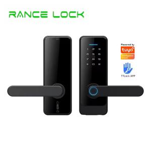 Quality Electronic Wifi Home Door Lock C89 Biometric Entry Door Lock Keyless for sale