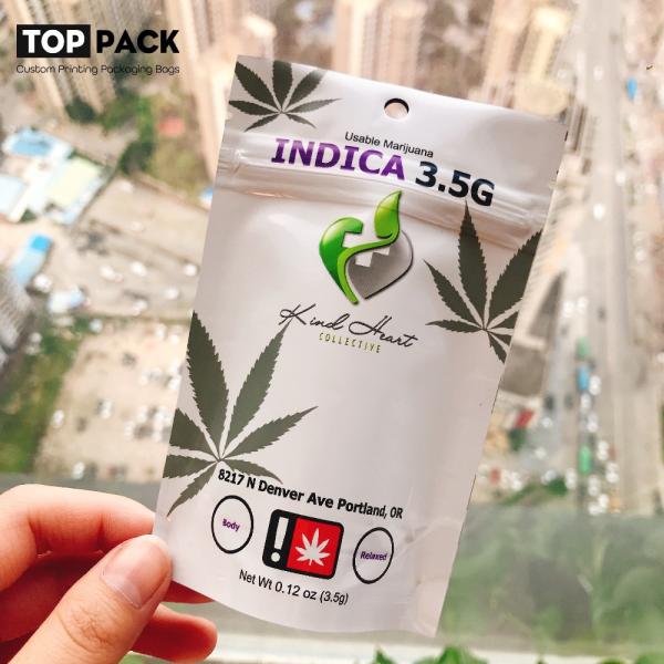 Glossy Surface Medium Rectangle Custom Zipper Bag Waterproof Free Samples