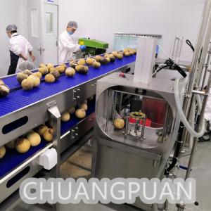China Versatile Stainless Steel 1-10T/H Water Extraction Young Coconut Cutting Machine on sale