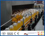 Automatic Pineapple Processing Line With Bottle Packing Machine ISO9001 / CE /