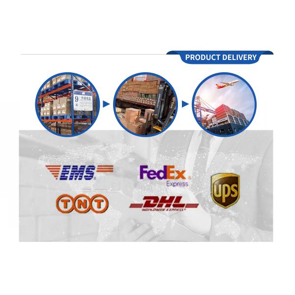 Cushion Suspension Proximal Seal Interface 53cm ALPS Liner