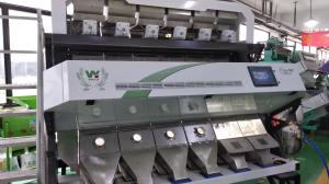 China Automatic Walnut Cashew Sorting Machine  Processing Machine RGB Color Sorter on sale