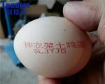 1-6 Lines Egg Inkjet Printer , Automatic Batch Coding Machine With Food Grade