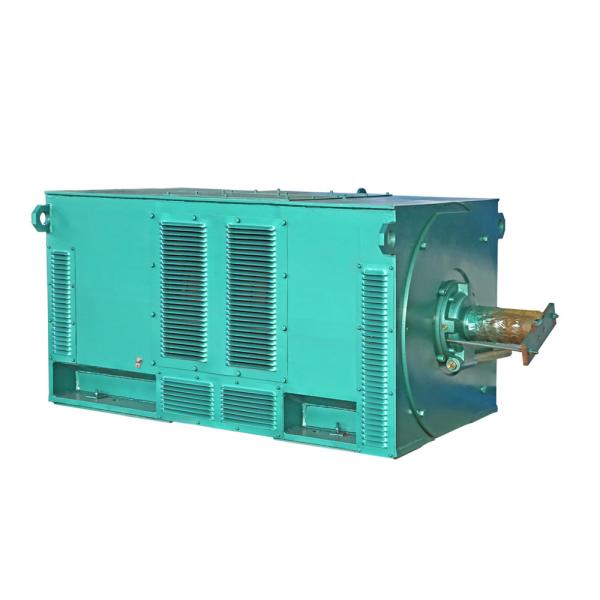 Simo TYC Series IP23 High Voltage Permanent Magnet Synchronous Motor 6kV 10kV