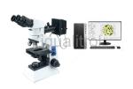 Trinocular Upright Reflected Digital Metallurgical Microscope with Polarizer