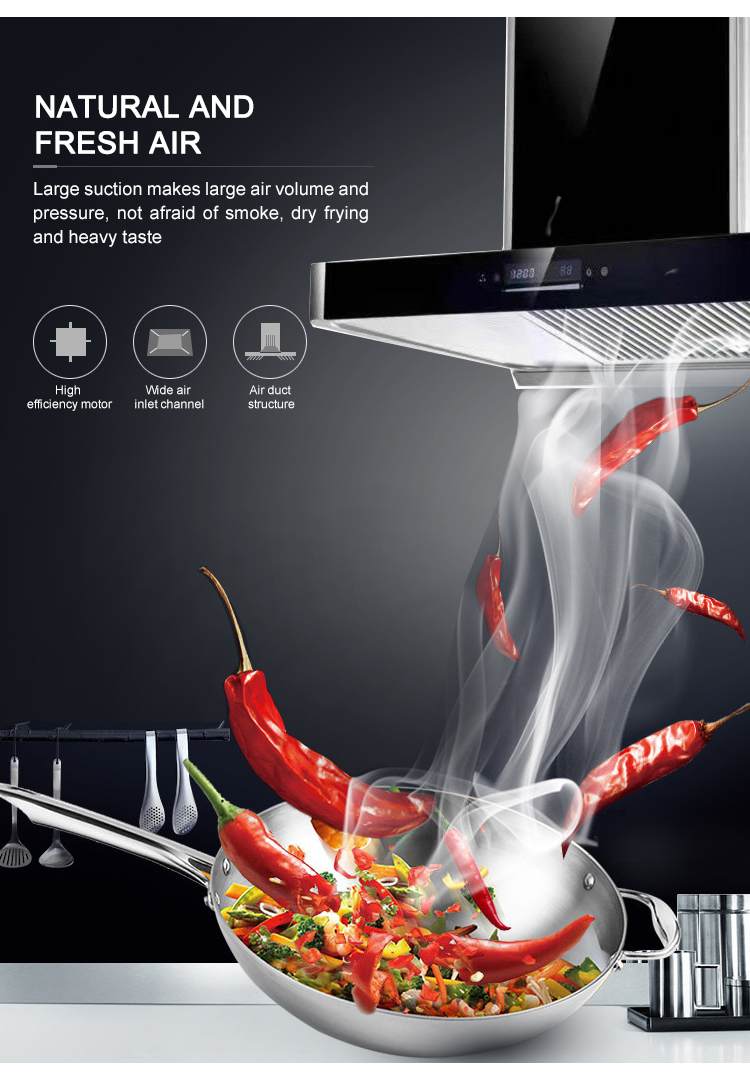 Household T Shape Chimney Hood Electric Wall Mounted Range Hood 220V Kitchen Extractor