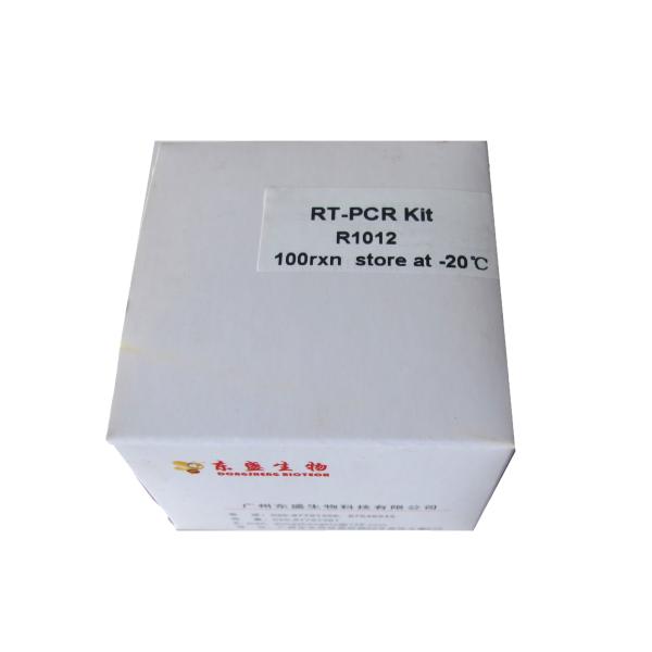First Strand CDNA Synthesis Kit R1011/R1012 Reverse Transcriptase PCR Reagents
