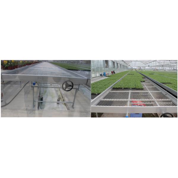 Customized Greenhouse Rolling Bench Grow Table with Easy Construction Advantage and Hot Galvanized Steel Frame Structure