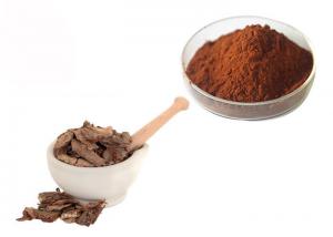 Quality Proanthocyanidins 95% Pine Bark Extract Powder for sale