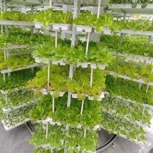 Buy cheap Vertical Farming Hanging Plant Hydroponic Intelligence Farming from wholesalers