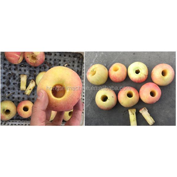 Electric apple core removing machine/apple ring cutter machine/apple coring cutting machine
