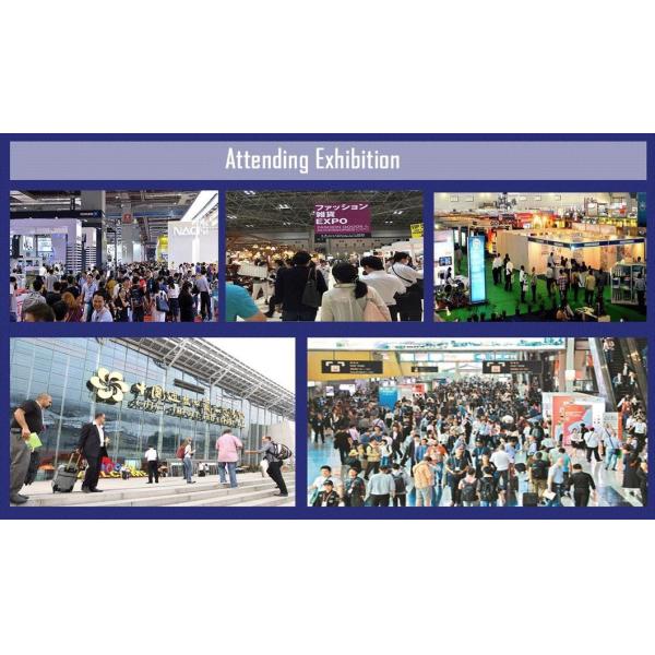 Agricultural Waste Crushed Corn COB as Abrasive Dry Corn COB for Packaging Material