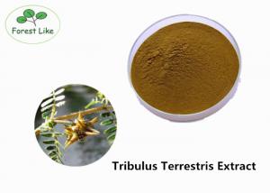 Quality Herbal Medicine Tribulus Terrestris Extract 45% Saponins Powder for Male Health for sale
