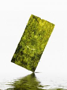China Crafted Seaweed Chips Organic Toasted Nori Seaweed Crunchy Sea Salt Seasoning on sale