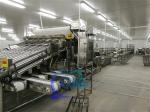 Lobster sorting and grading machine Shrimp grading machine Shrimp sorting