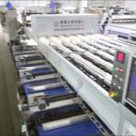 Optimize Your Output with Our High Capacity, AI Powered Chestnut Sorting Machine
