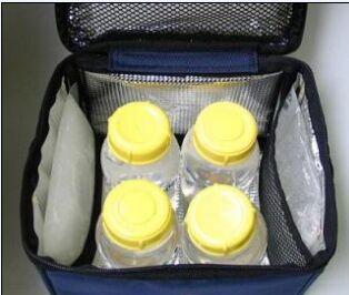 Buy sell thermal ice packs,insulated ice packs,breast milk cooler bag(SK-BD250 super cold pack) at wholesale prices