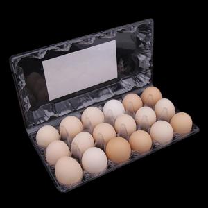Quality 3X6 Disposable Plastic Egg Tray 18 Holes Plastic Egg Packing Container for sale