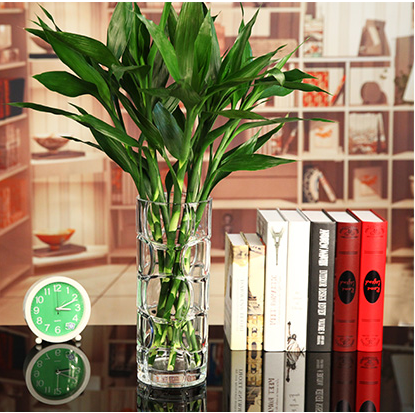 Custom Wholesale Matte Candle Vessels Embossed Large Empty Candle Container Glass Vase