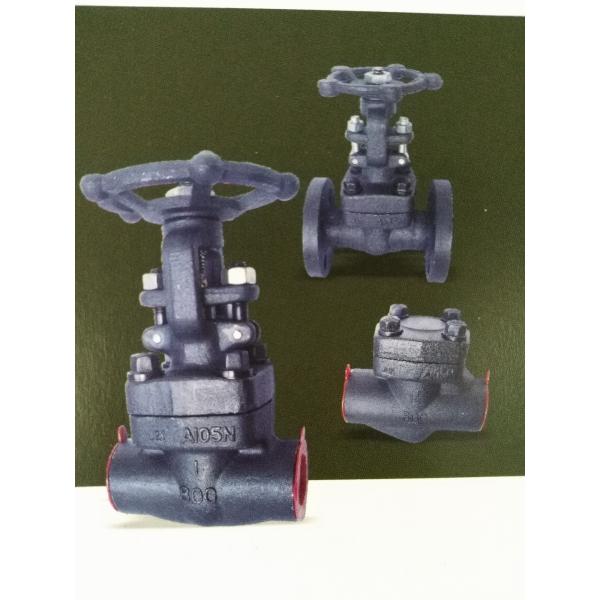 Small Size Forged Steel Valve Design and Manufacturing Standard API602