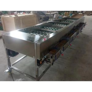 Onion Sorting Machine, Onion Grading Machine, Onion Grader Machine, Sorter