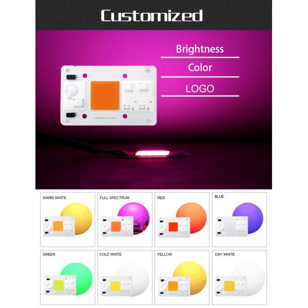 110V Solderless High Power Cob Led 80W High Luminous Efficiency