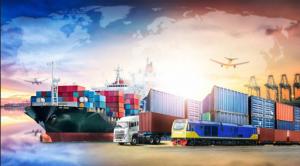 Quality Professional FBA Shipping To Canada USA DDU DDP Rates Sea Freight Forwarder for sale