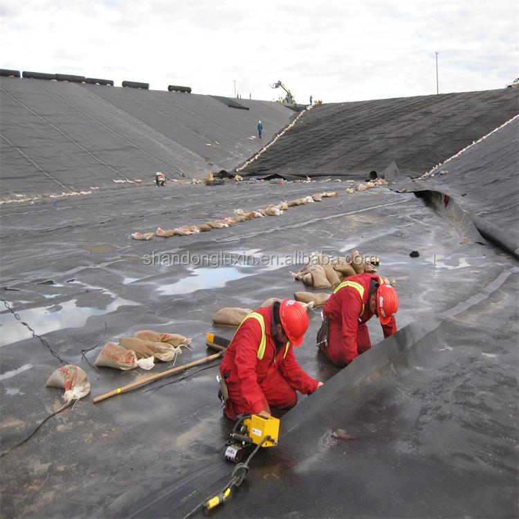 Double Texture HDPE Geomembrane Fish Farm Pond Liner with Project Solution Capability